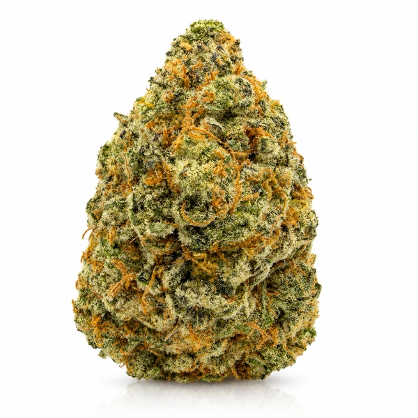 JACK HERRER on the Kensington Green delivery menu
